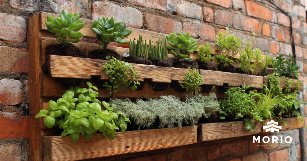 Vườn Thẳng Đứng Từ Pallet Gỗ